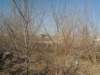 dscn4805_small.jpg
