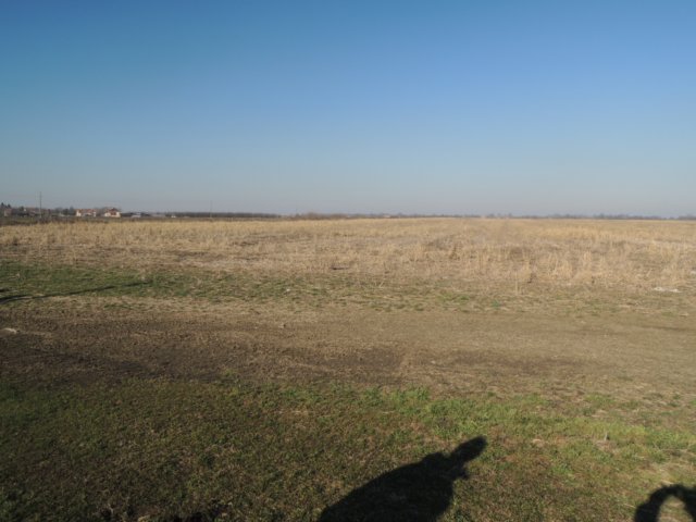 dscn4825.jpg
