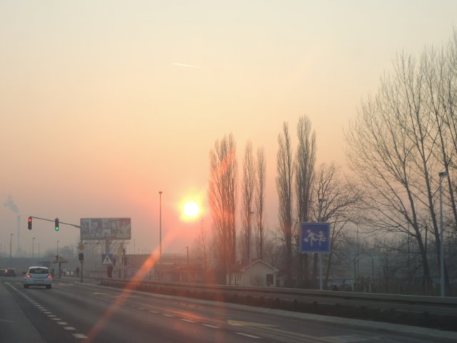 dscn5003.jpg