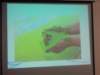 dscn5924_small.jpg
