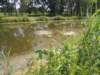 dscn5959_small.jpg
