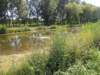 dscn5967_small.jpg