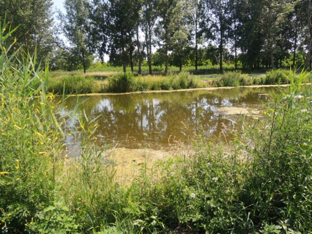 dscn5968.jpg