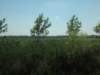 dscn5973_small.jpg