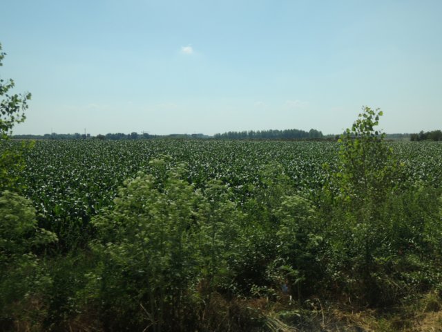 dscn5974.jpg