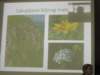 dscn6920_small.jpg