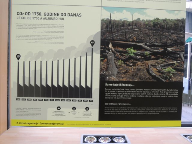 dscn6954.jpg