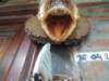 dscn6993_small.jpg