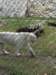 img_1601_small.jpg
