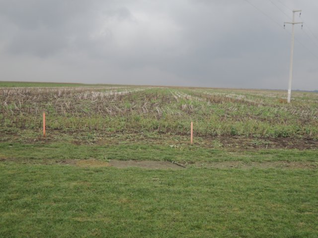 dscn7250.jpg