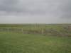 dscn7251_small.jpg