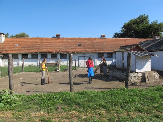 img_4317.jpg