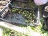 dscn7330_small.jpg