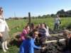 dscn7331_small.jpg