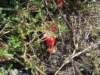 dscn7334_small.jpg