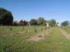 dscn7336_small.jpg