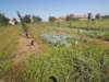 dscn7337_small.jpg