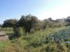 dscn7339_small.jpg