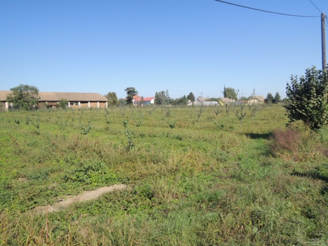 dscn7340.jpg