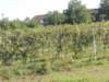 dscn7342_small.jpg