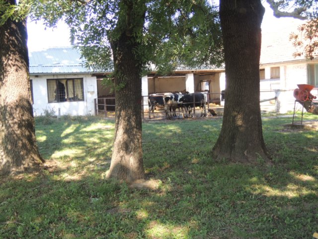 dscn7352.jpg