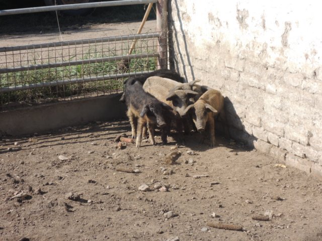 dscn7364.jpg