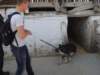 dscn7372_small.jpg