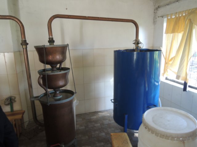 dscn7375.jpg