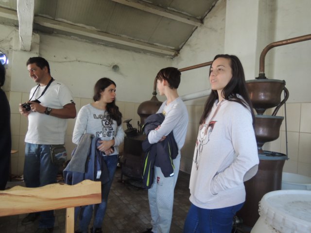 dscn7383.jpg