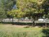 dscn7387_small.jpg