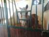 dscn7392_small.jpg