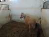 dscn7393_small.jpg