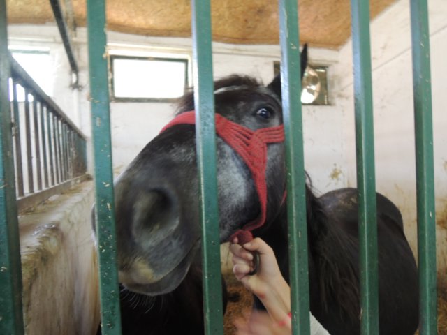 dscn7394.jpg