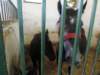 dscn7396_small.jpg