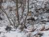 dscn7960_small.jpg