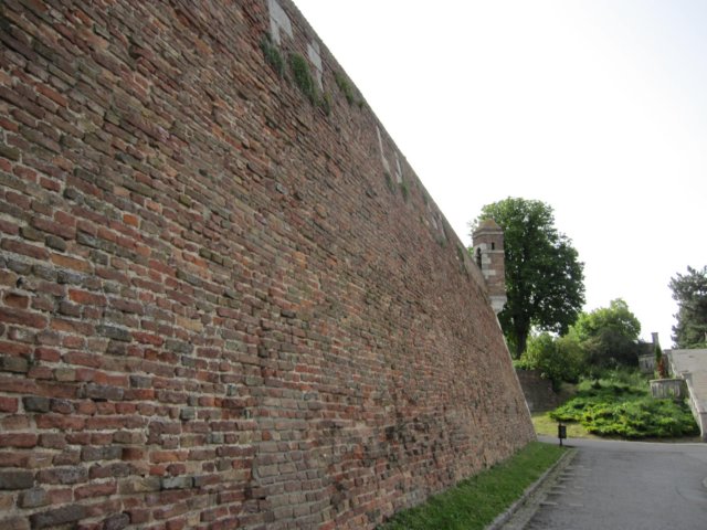 img_1300.jpg