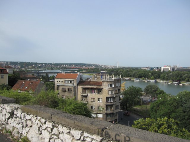 img_1305.jpg