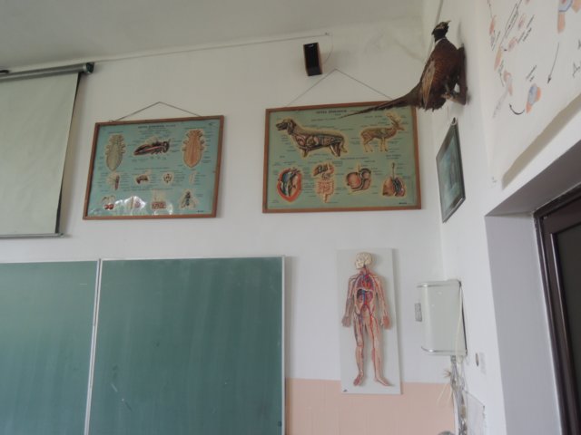 dscn8747.jpg