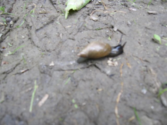 img_1459.jpg