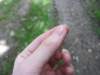img_1462_small.jpg