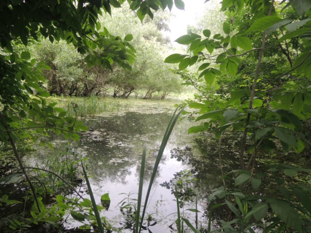 dscn8769.jpg