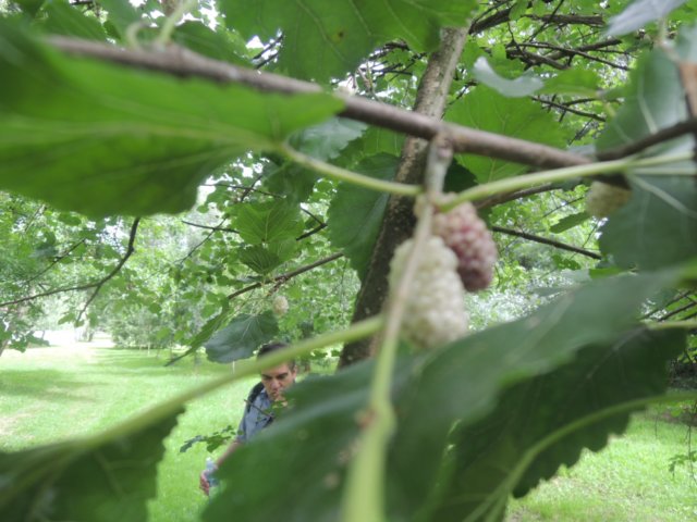 dscn8775.jpg