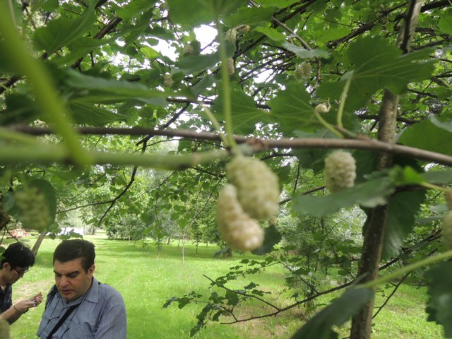 dscn8776.jpg
