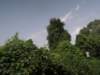 dscn8781_small.jpg