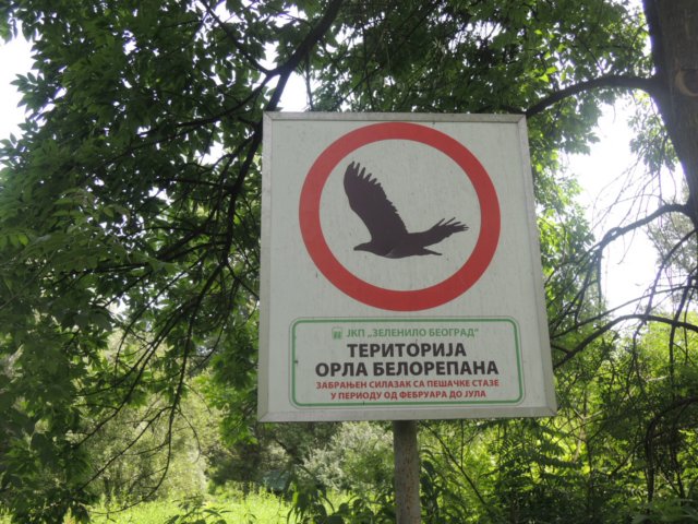 dscn8788.jpg