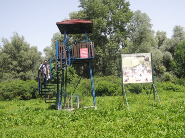 dscn8789.jpg