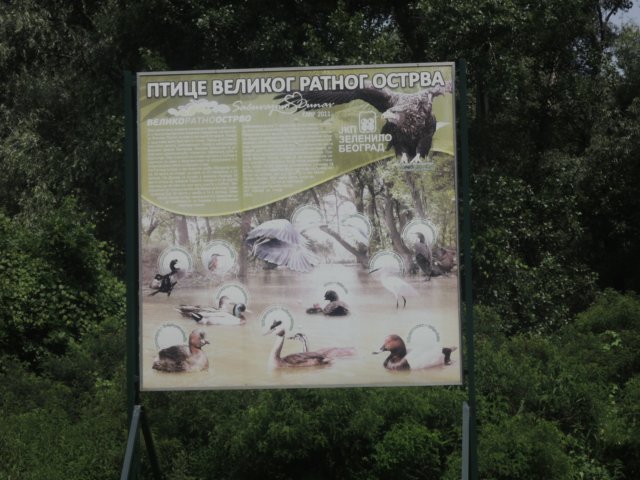 dscn8790.jpg