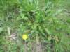 dscn8791_small.jpg