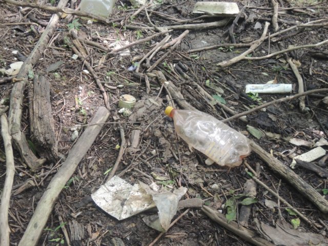 dscn8792.jpg
