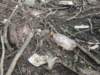 dscn8792_small.jpg